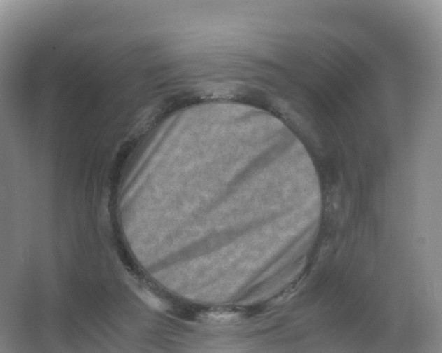 X0000066960209200604142123