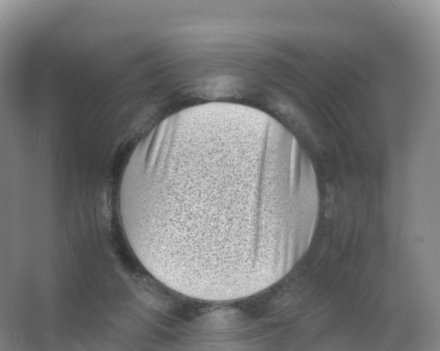 X0000066960210200604142123