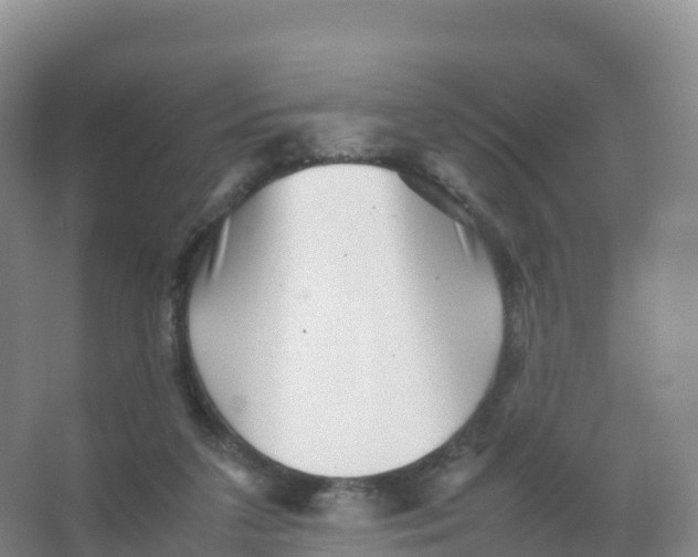 X0000066960211200604142123