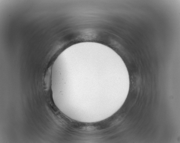 X0000066960212200604142123