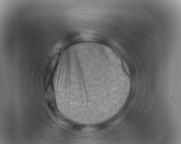 X0000066960213200604142123