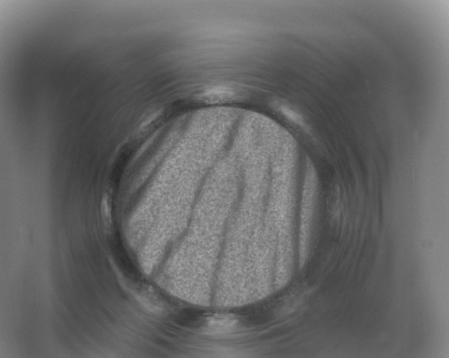 X0000066960214200604142123