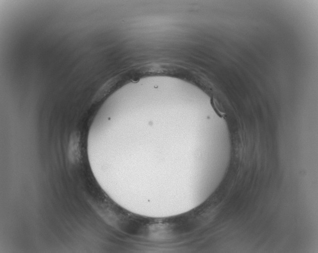 X0000066960216200604142123