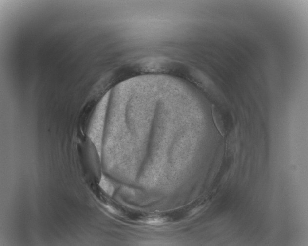 X0000066960217200604142123