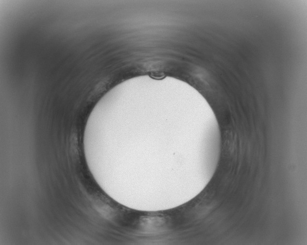 X0000066960220200604142123