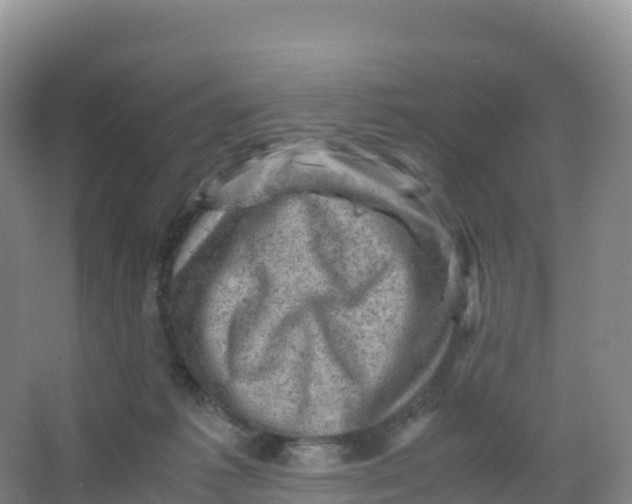 X0000066960221200604142123