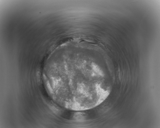 X0000066960222200604142123