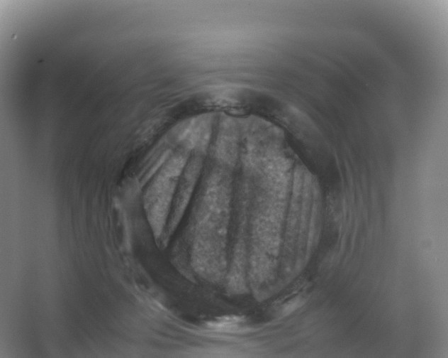 X0000066960223200604142123