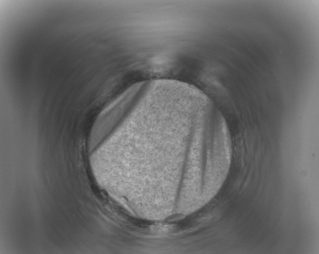 X0000066960225200604142123