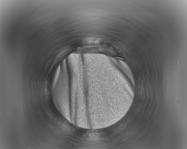 X0000066960228200604142123