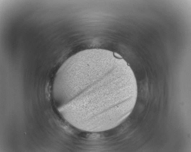 X0000066960230200604142123