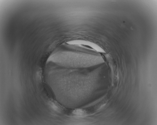 X0000066960231200604142123