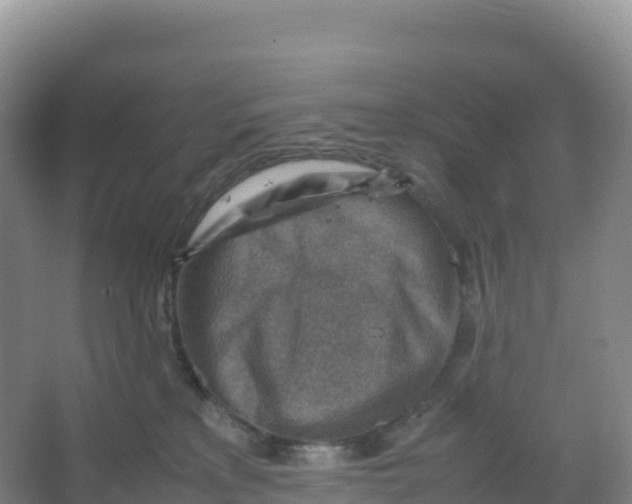 X0000066960233200604142123