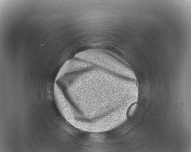 X0000066960234200604142123