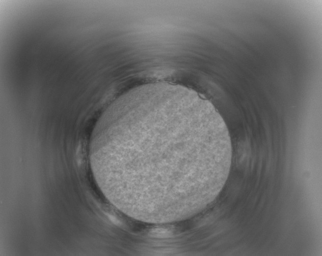 X0000066960236200604142123