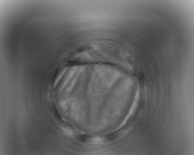 X0000066960237200604142123