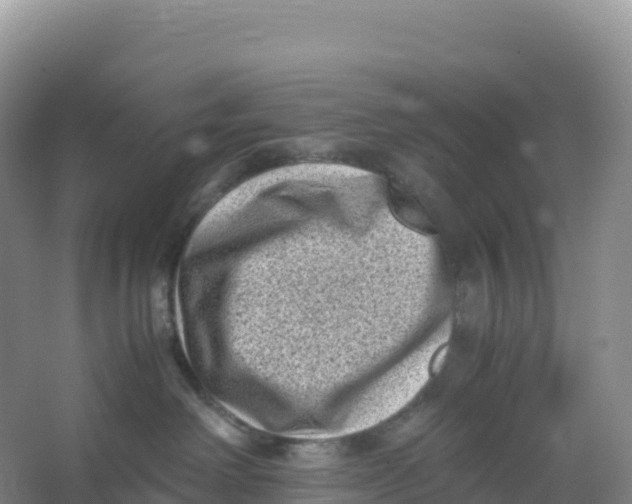 X0000066960238200604142123