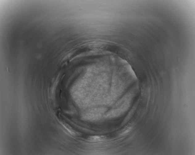 X0000066960239200604142123