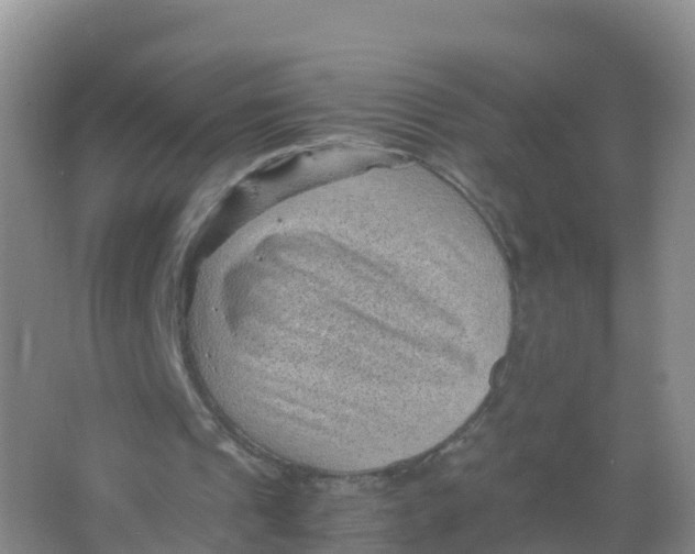 X0000066960241200604142122