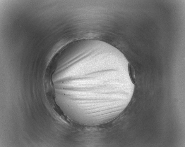 X0000066960242200604142122