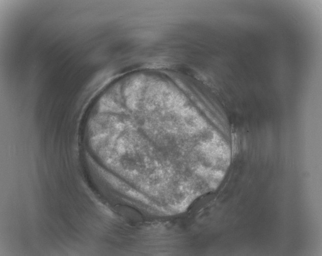 X0000066960243200604142122