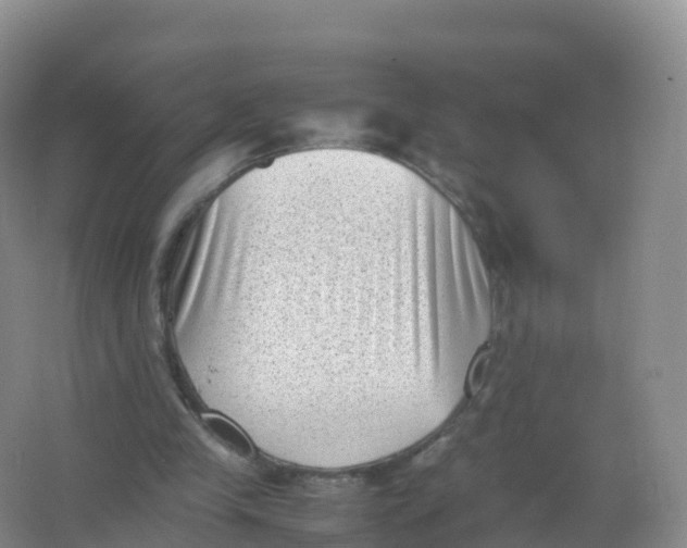 X0000066960245200604142122