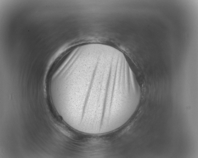 X0000066960246200604142122