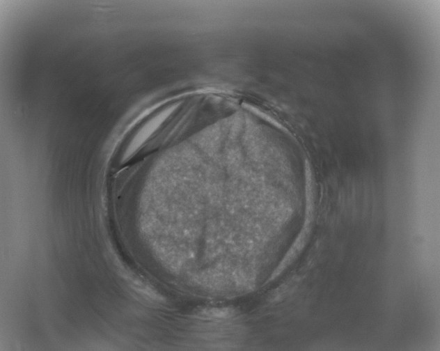 X0000066960247200604142122