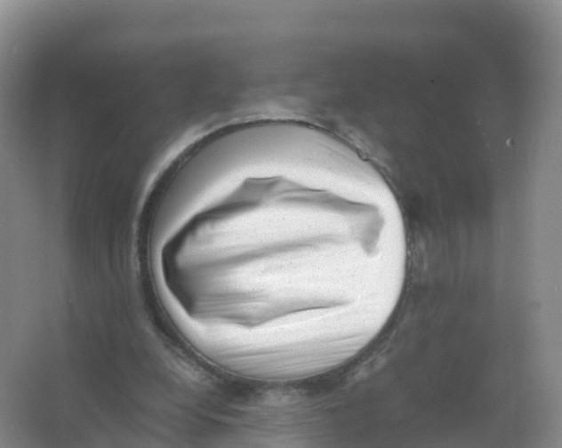 X0000066960248200604142122