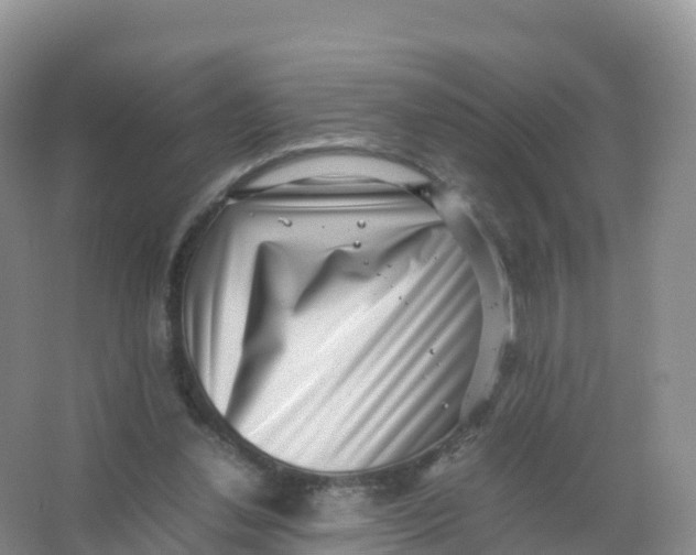 X0000066960252200604142122