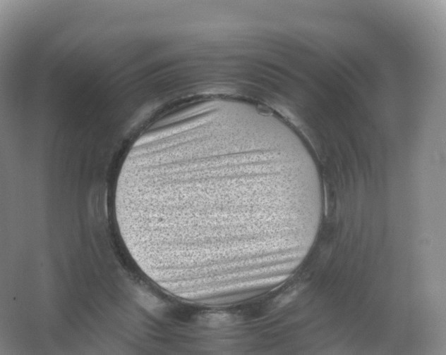 X0000066960253200604142122