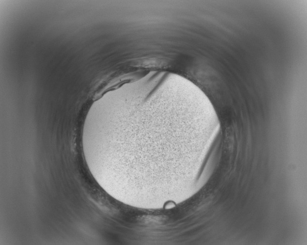 X0000066960255200604142122