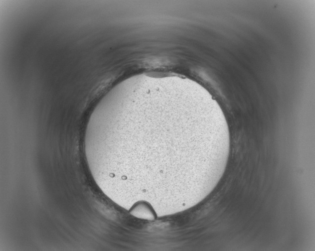 X0000066960257200604142122