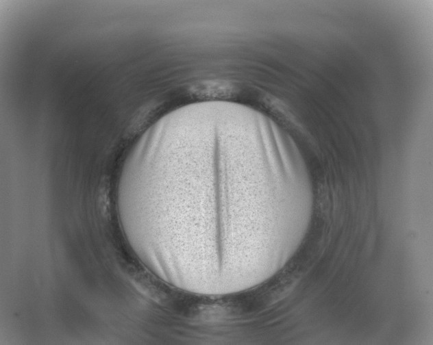 X0000066960259200604142122