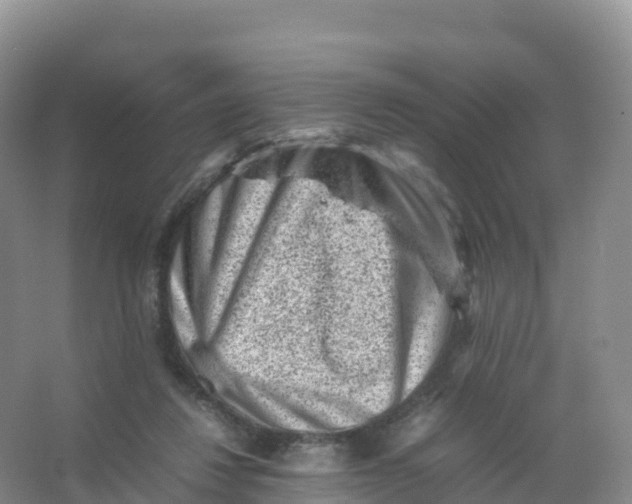 X0000066960260200604142122