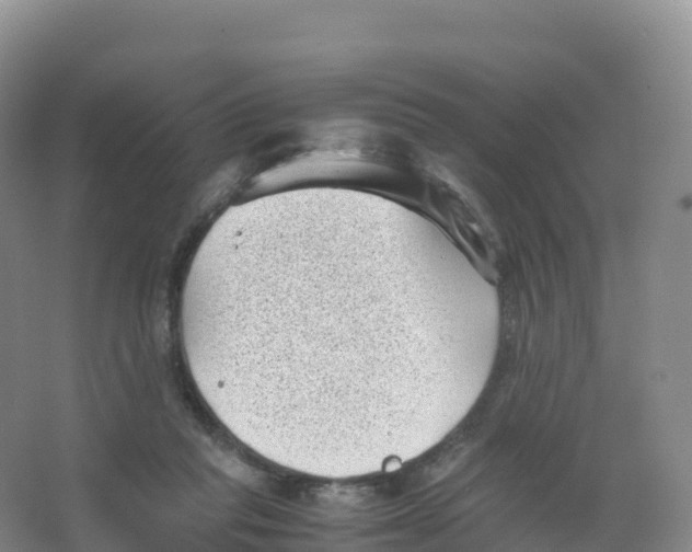 X0000066960261200604142122