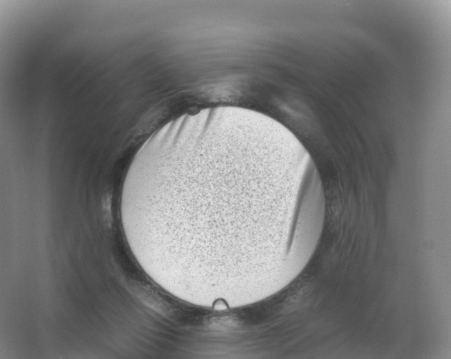 X0000066960262200604142122