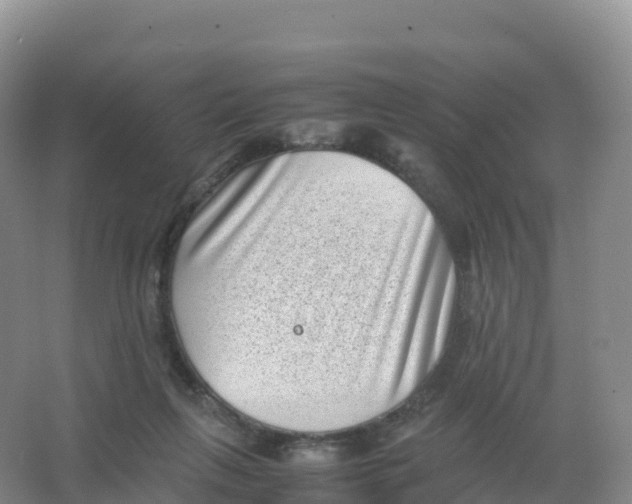 X0000066960263200604142123