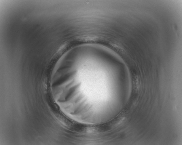 X0000066960264200604142123