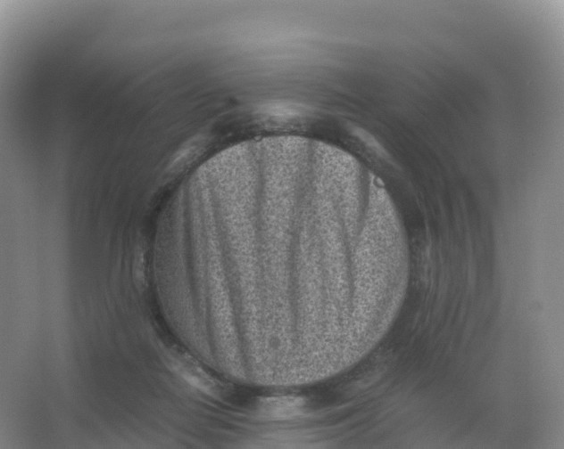 X0000066960266200604142123