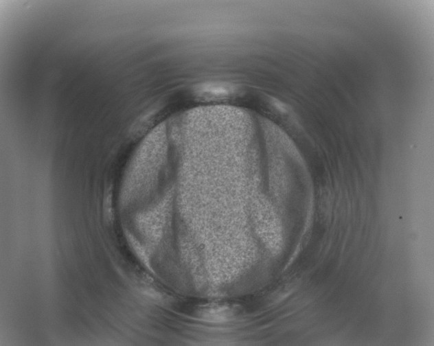 X0000066960267200604142123