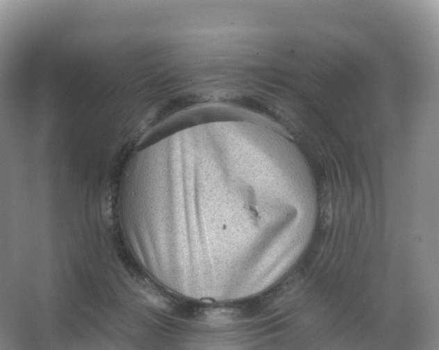 X0000066960268200604142123