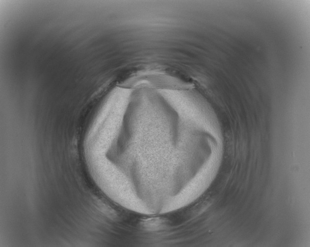 X0000066960269200604142123