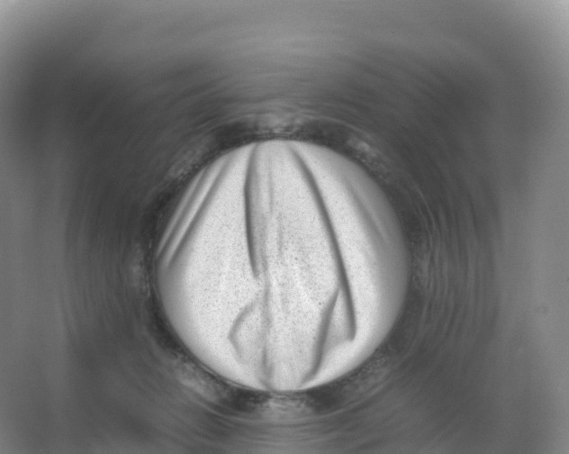 X0000066960270200604142123