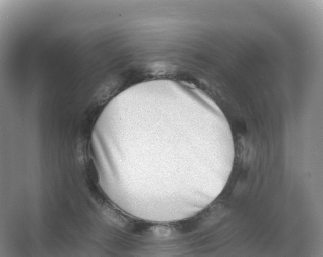 X0000066960272200604142123