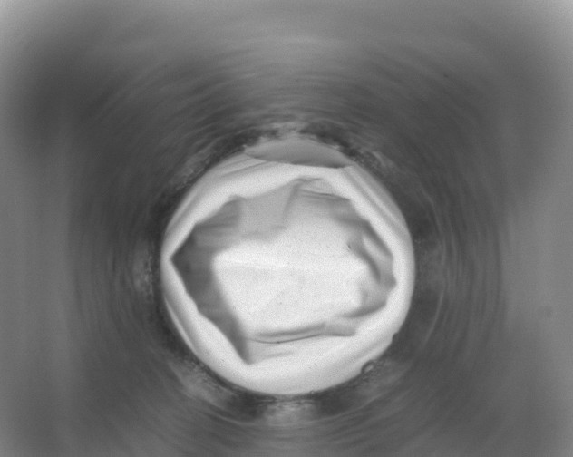 X0000066960274200604142123