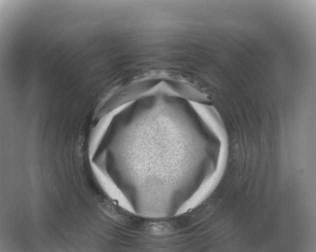 X0000066960275200604142123