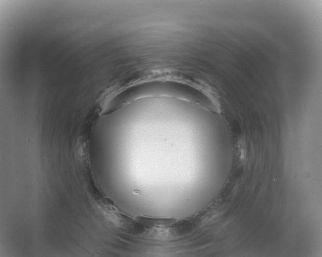 X0000066960276200604142123