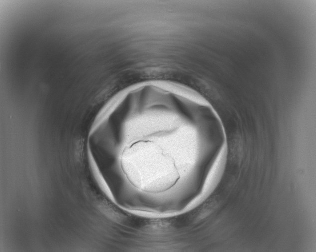 X0000066960278200604142123