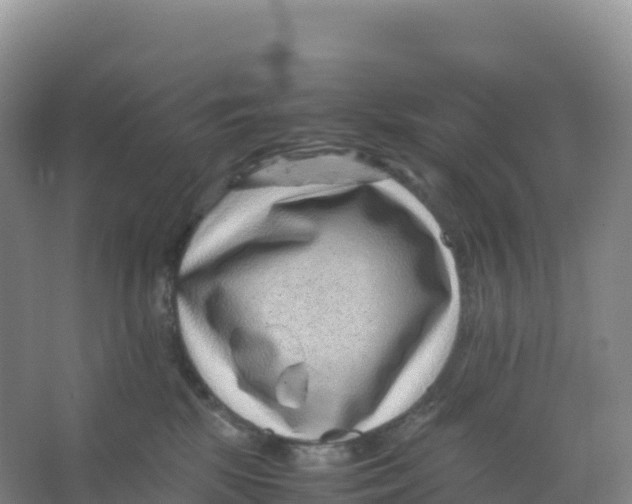 X0000066960281200604142123